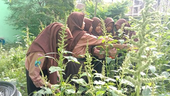 Menyambut Madrasah Adiwiyata Tingkat Propinsi