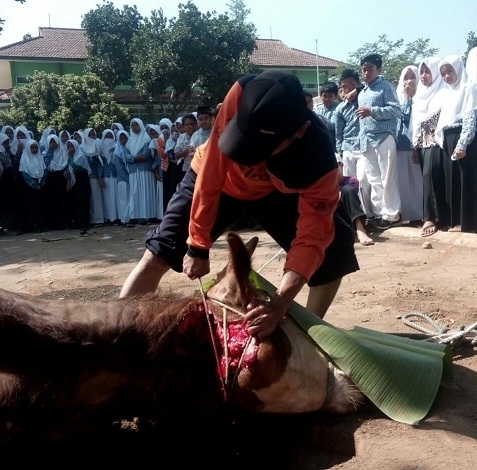 MTsN 2 Kota Malang Berkurban dan Berbagi