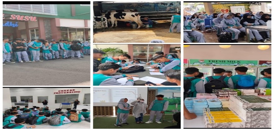 MTsN 2 Kota Malang Laksanakan P5PRA Sembari Eksplorasi Edukasi Pengolahan Susu